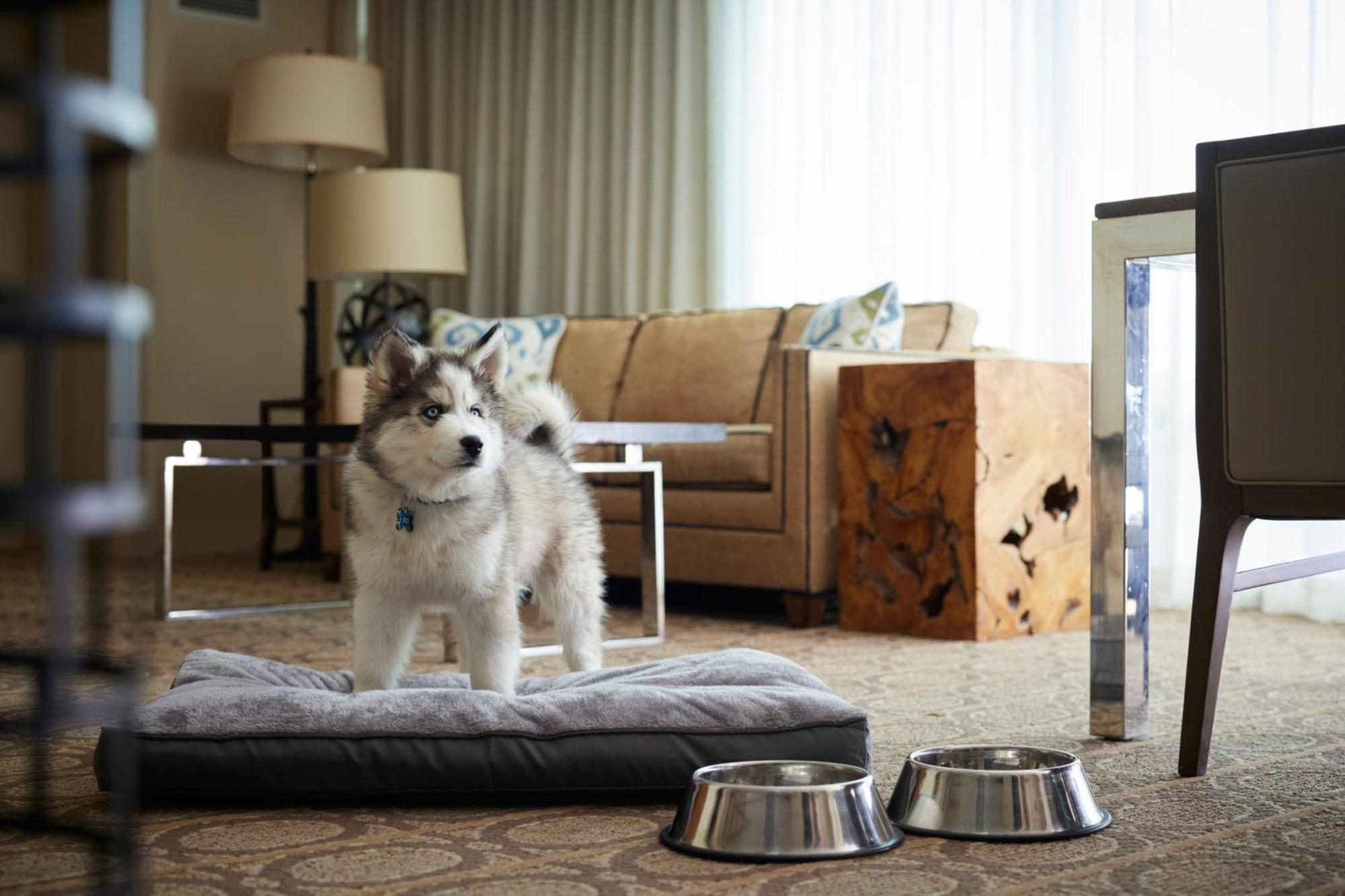 Denver Marriott Вестминстер Экстерьер фото